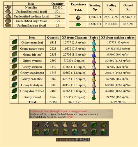 osrs xp|osrs xp chart.